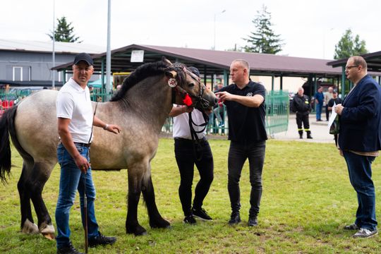 DSC09816.JPG DSC09816.JPG