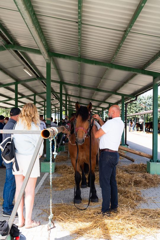 DSC09877.JPG DSC09877.JPG