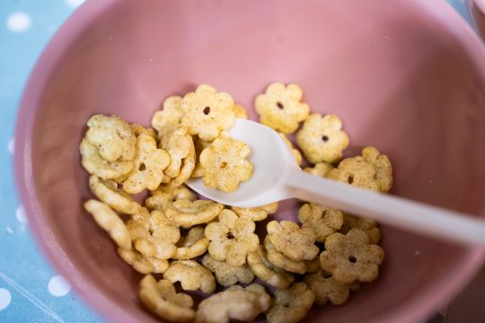 DSC00969.JPG DSC00969.JPG