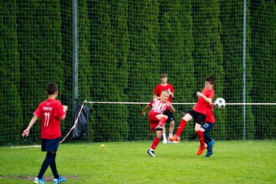 DSC00896.JPG DSC00896.JPG