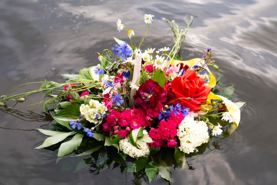 DSC00418.JPG DSC00418.JPG