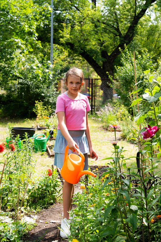 DSC01108.JPG DSC01108.JPG