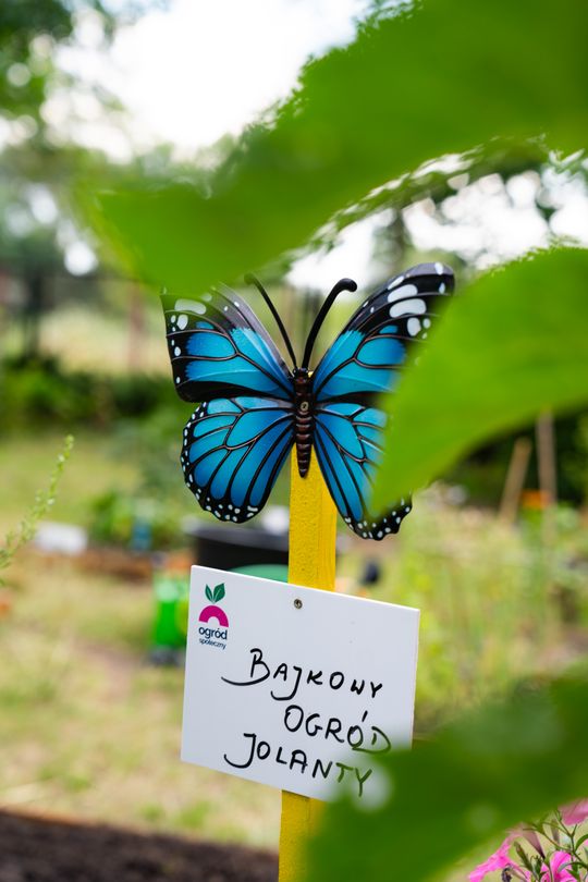 DSC01125.JPG DSC01125.JPG