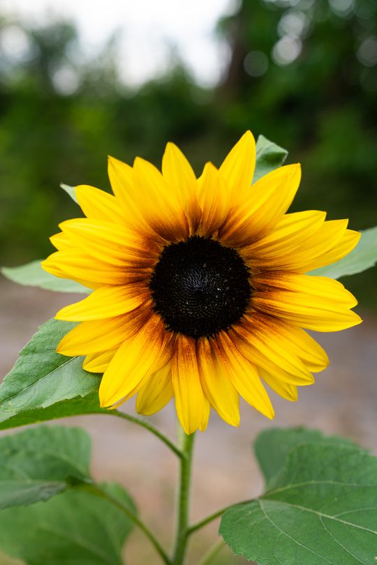 DSC01128.JPG DSC01128.JPG