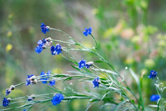 DSC01134.JPG DSC01134.JPG