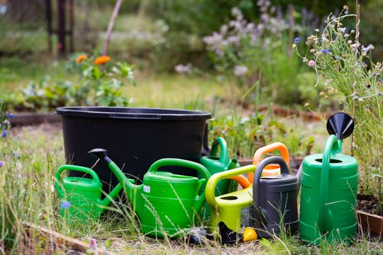 DSC01135.JPG DSC01135.JPG