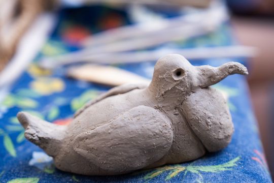 DSC01591.JPG DSC01591.JPG