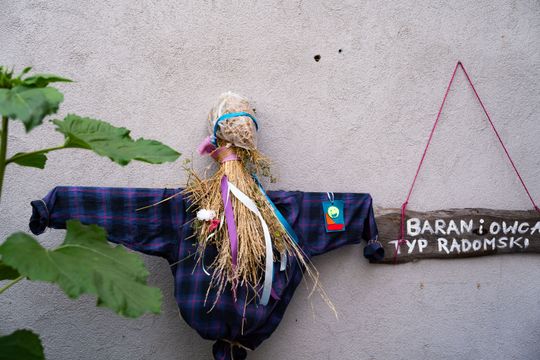 DSC01608.JPG DSC01608.JPG