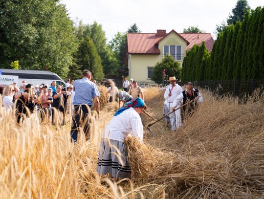 Żniwa i piknik rodzinny w gminie Jastrzębia (zdjęcia)