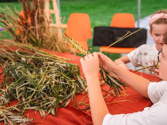 Piknik rodzinny „Orońsko – naturalnie. Jesteśmy częścią przyrody" (zdjęcia)