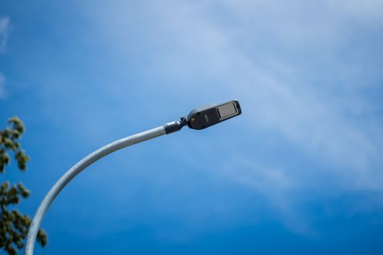 maków 009.jpg maków 009.jpg