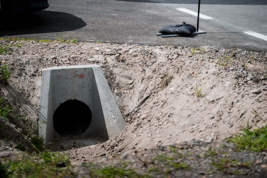 maków 017.jpg maków 017.jpg