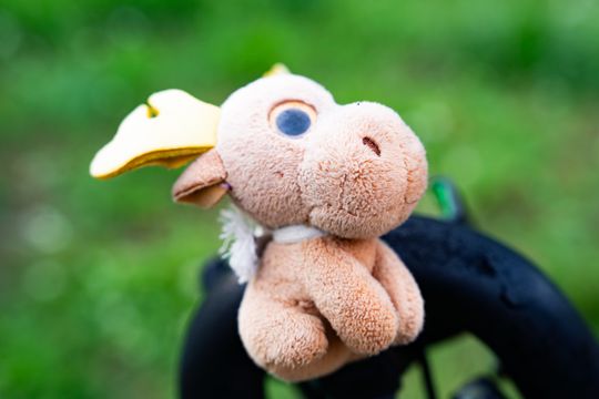 DSC03537.JPG DSC03537.JPG