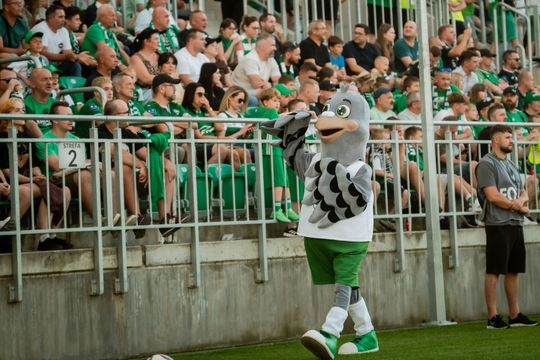 radomiak kibice 143.jpg