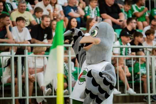 radomiak kibice 144.jpg