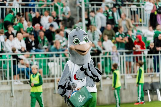 radomiak 156.jpg radomiak 156.jpg