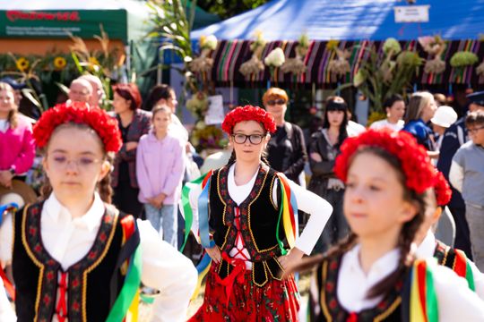 DSC08157.JPG DSC08157.JPG