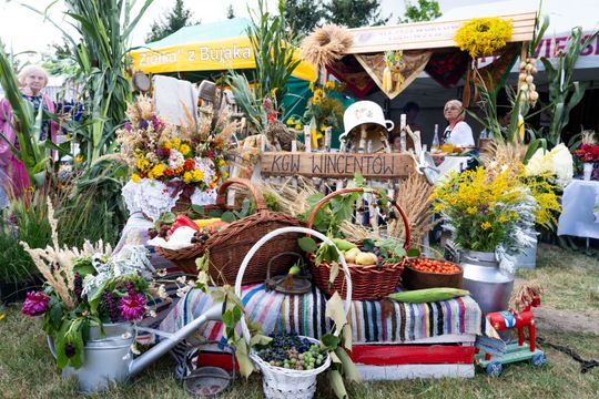 DSC08187.JPG DSC08187.JPG