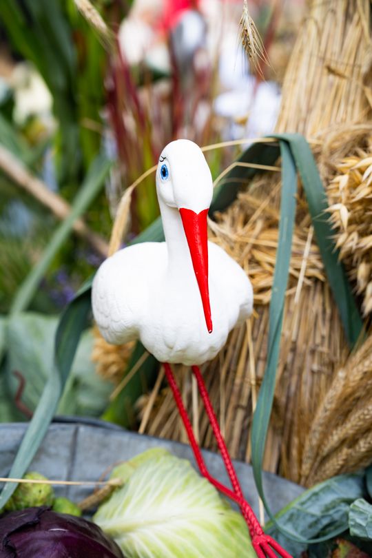 DSC08190.JPG DSC08190.JPG