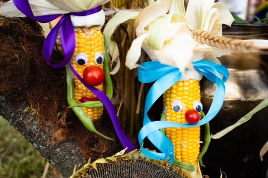 DSC08200.JPG DSC08200.JPG