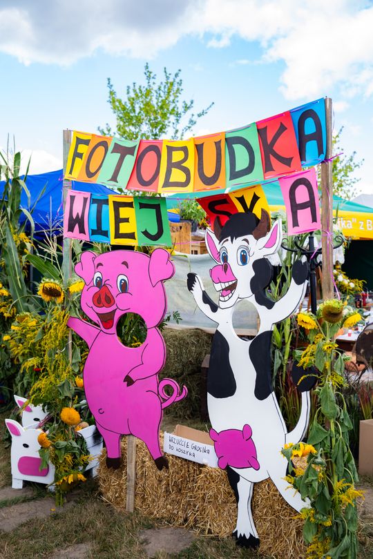 DSC08198.JPG DSC08198.JPG