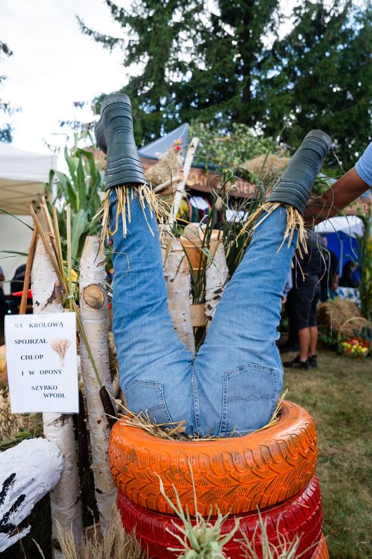 DSC08214.JPG DSC08214.JPG