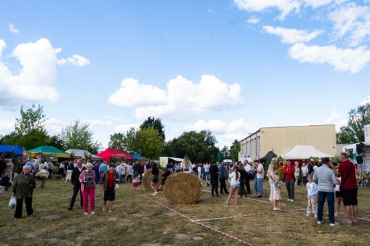 DSC08216.JPG DSC08216.JPG