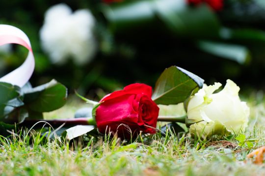 Obchody 86. rocznicy wybuchu II wojny światowej (zdjęcia) Obchody 86. rocznicy wybuchu II wojny światowej (zdjęcia)