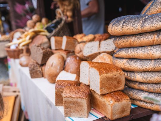 XXVII Radomskie Święto Chleba (zdjęcia)