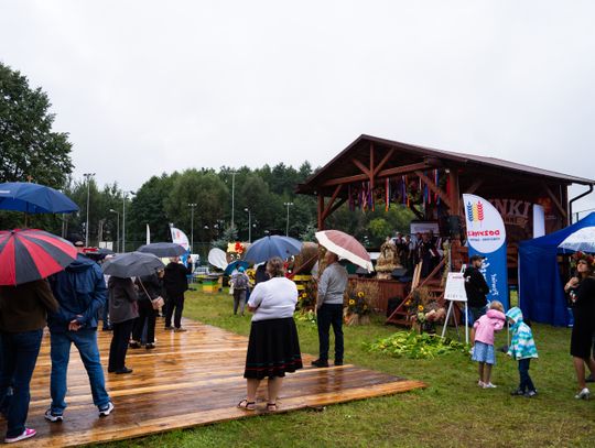 Dożynki Powiatowo-Gminne w Jedlni (zdjęcia)