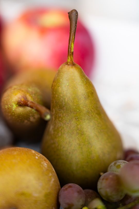 Festiwal Smaków w Rzeczniowie (zdjęcia)