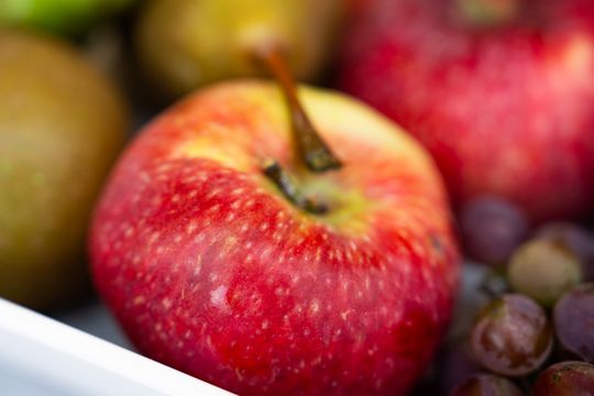 Festiwal Smaków w Rzeczniowie (zdjęcia)