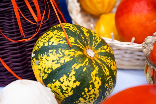 Festiwal Smaków w Rzeczniowie (zdjęcia)