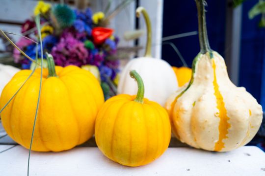 Festiwal Smaków w Rzeczniowie (zdjęcia)