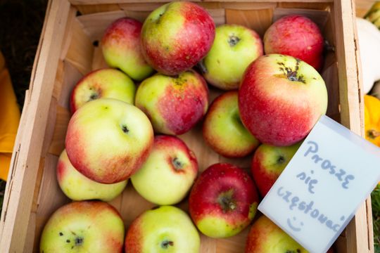 Festiwal Smaków w Rzeczniowie (zdjęcia)