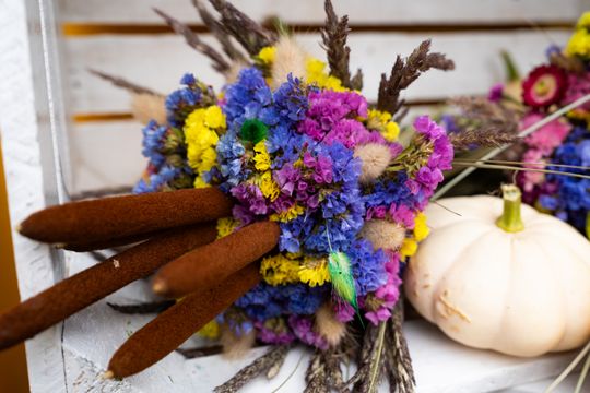 Festiwal Smaków w Rzeczniowie (zdjęcia)