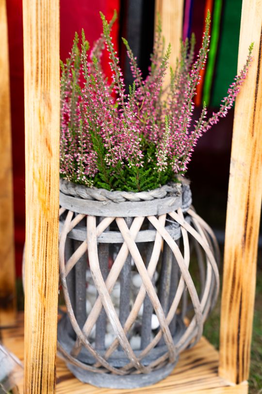 Festiwal Smaków w Rzeczniowie (zdjęcia)