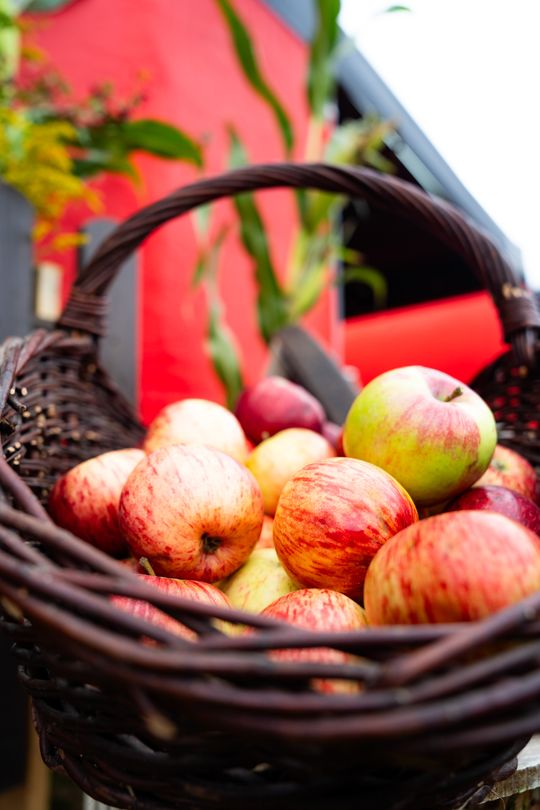 Festiwal Smaków w Rzeczniowie (zdjęcia)