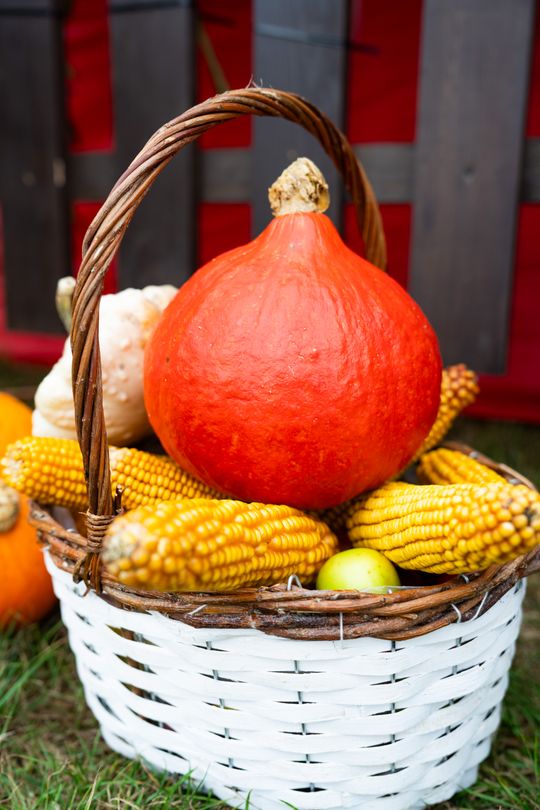 Festiwal Smaków w Rzeczniowie (zdjęcia)