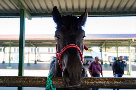 DSC02593.JPG DSC02593.JPG