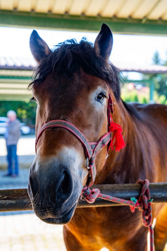 DSC02609.JPG DSC02609.JPG