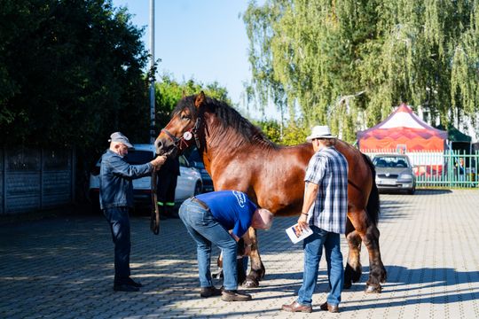 DSC02639.JPG DSC02639.JPG