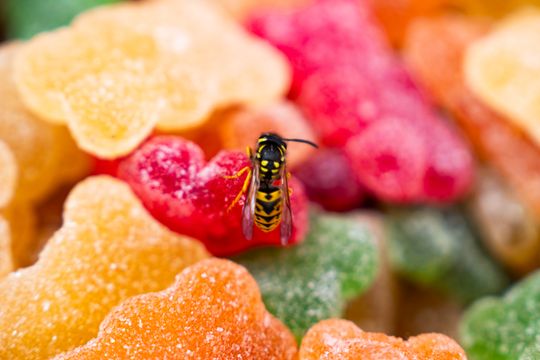 DSC02686.JPG DSC02686.JPG