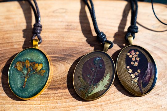 DSC02697.JPG DSC02697.JPG