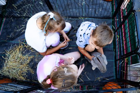 DSC03070.JPG DSC03070.JPG