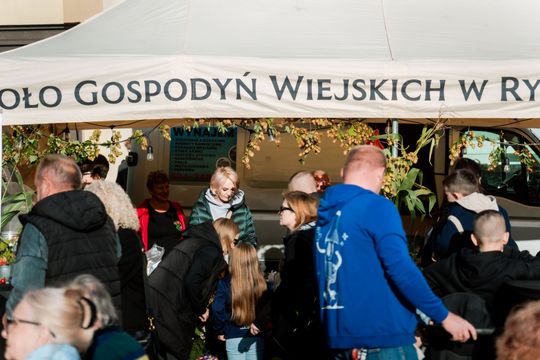 dzień jabłka 014.jpg