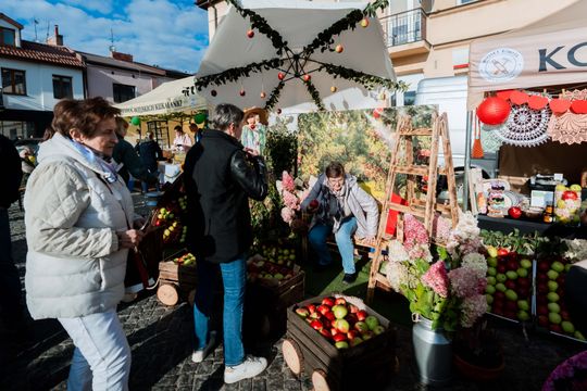 dzień jabłka 023.jpg