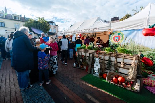 dzień jabłka 029.jpg