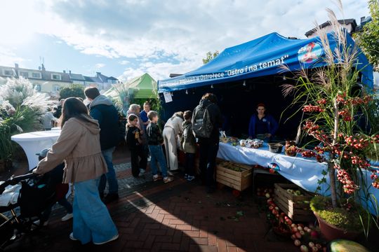 dzień jabłka 027.jpg