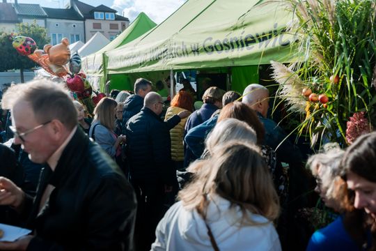 dzień jabłka 028.jpg